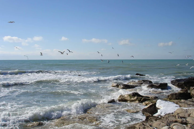 Путин подписал закон о ратификации соглашения о сотрудничестве в сфере предупреждения ЧС на Каспии