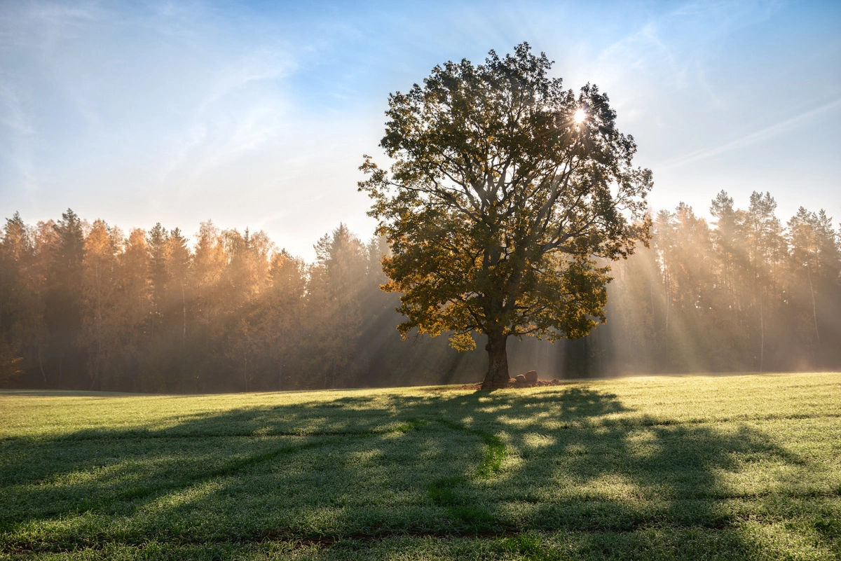 Sabahın hava proqnozu açıqlanıb