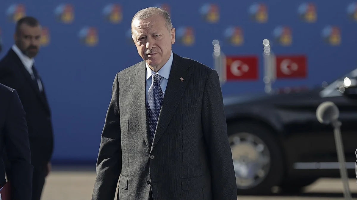 Ərdoğan: Türkiyə yanğınlarla mübarizəyə 27 təyyarə, 105 helikopter cəlb edib