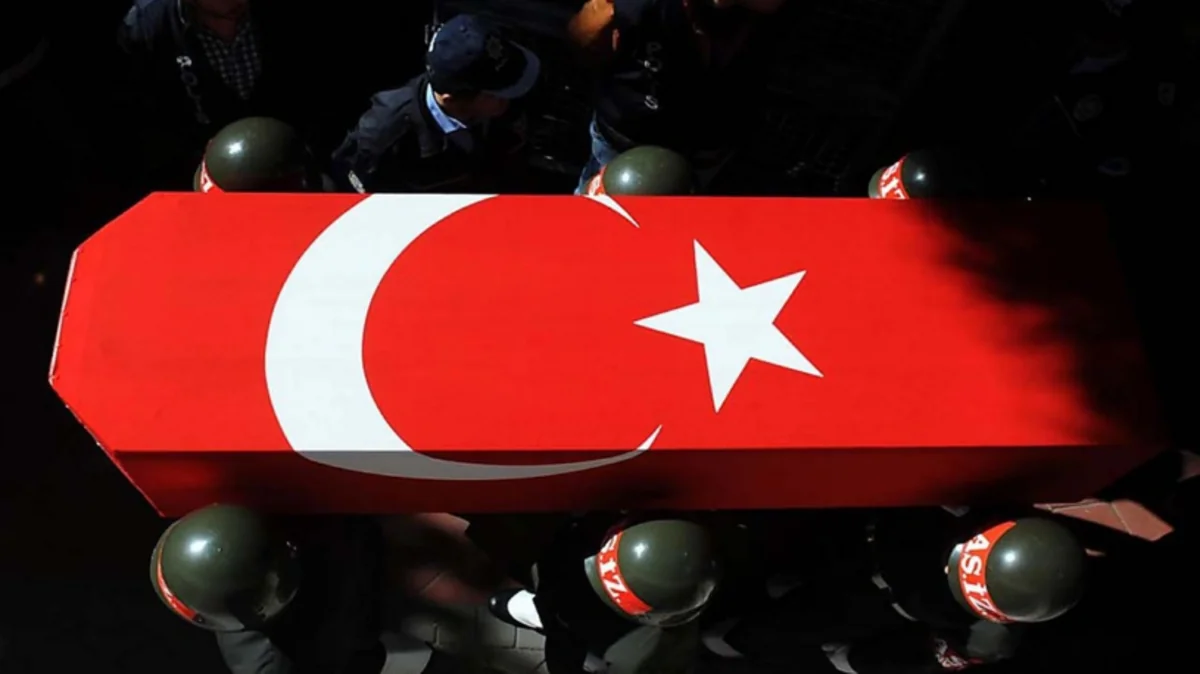2 Turkish soldiers killed in Syria