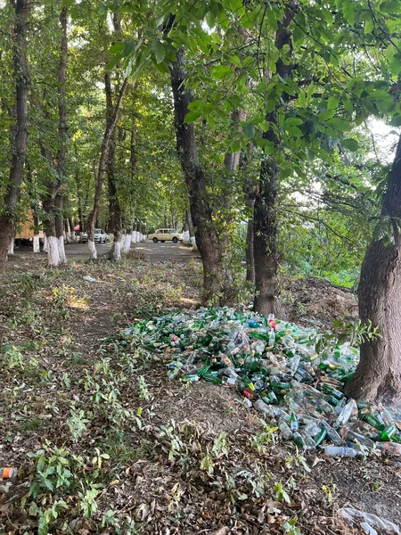 Masallıda ətraf mühiti məişət tullantıları ilə zibilləyən şəxslər barəsində tədbirlər görülüb
