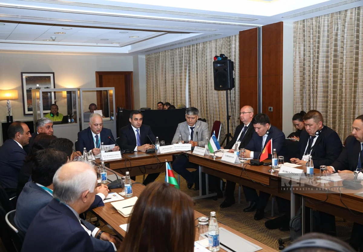 AQTA: Heyvan sağlamlığı sahəsində görülən tədbirlər bəhrəsini verir