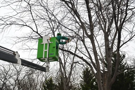 Bakıda iməcilik keçirilib, 502 küçə və prospekt yuyulub - YENİLƏNİB