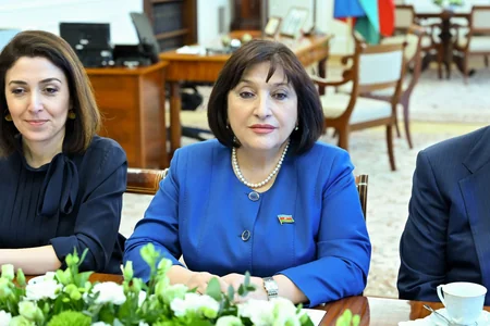 Sahibə Qafarova Polşa Seyminin sədri ilə görüşüb
