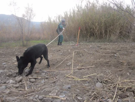 Cocuq Mərcanlıda 19 gündə 9 ədəd partlamamış hərbi sursat aşkarlanıb