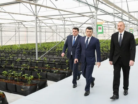 Prezident İlham Əliyev Tərəvəzçilik Elmi-Tədqiqat İnstitutunun açılışında iştirak edib - YENİLƏNİB