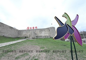 Председатель комитета: Съезд азербайджанцев мира в Шуше порадует души наших шехидов