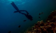 Дайверы из ФРГ нашли в Северном море английские пушки наполеоновских войн