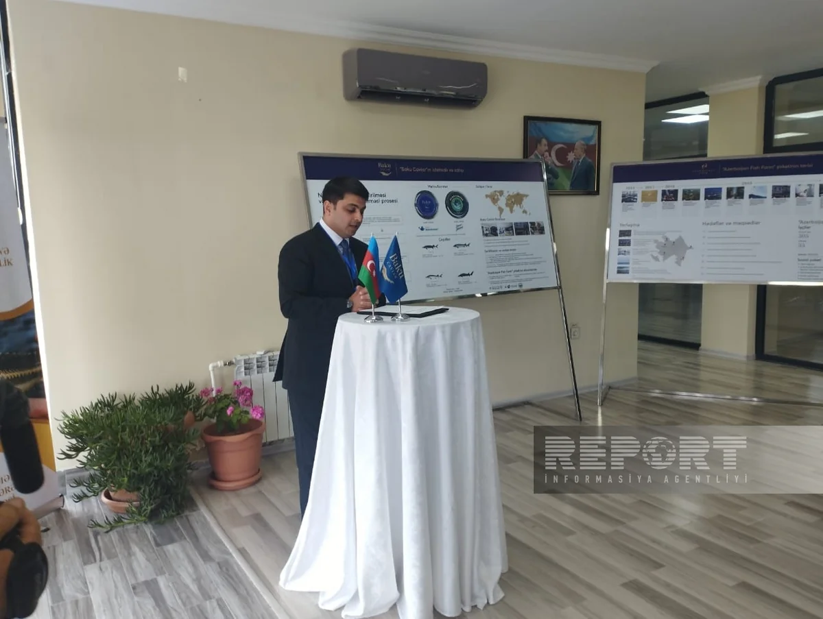Neftçalada Biomüxtəliflik Günü və Heydər Əliyevin 100 illik yubileyinə həsr edilmiş tədbir keçirilib