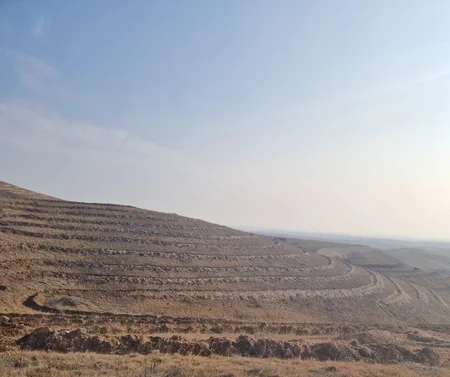 Dostluq Meşəsində 63 mindən çox ağac əkilib