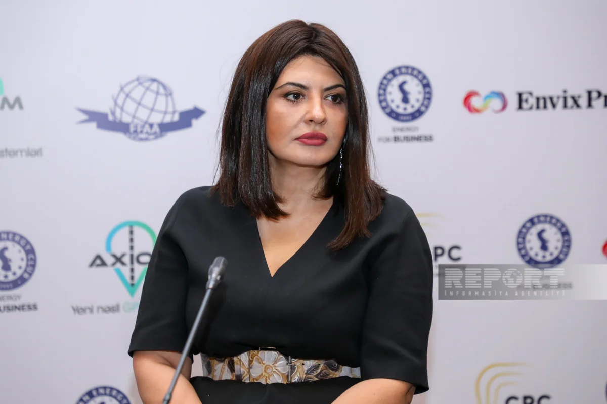 İş adamı: Yükdaşımada istifadə olunan avtomobillərin əksəriyyəti köhnədir
