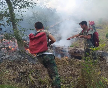 В Джалилабаде вспыхнул пожар в лесном массиве