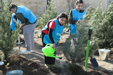 Tree-planting campaign held in Baku