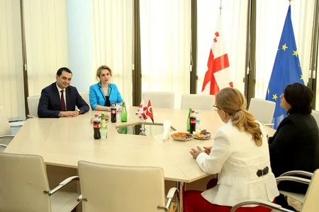 Türkiyənin Gürcüstandakı səfiri Marneuli rayonunun rəhbəri ilə görüşüb