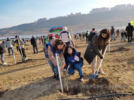 Xocasəndə 2000-dən çox müxtəlif cinsli ağac əkilib