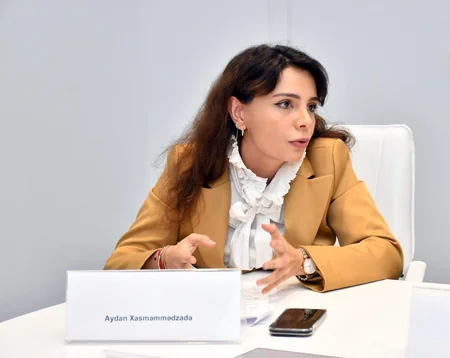 Mədəniyyət Nazirliyi yanında Ekspert şurası yaradılıb