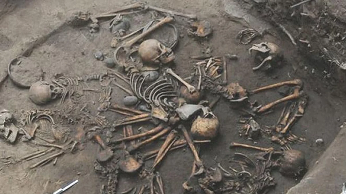 ABŞ-da insan qalıqlarından istifadəyə icazə verilə bilər