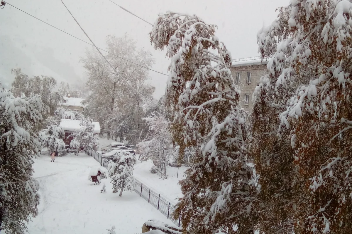 Yaponiyaya güclü qar yağıb