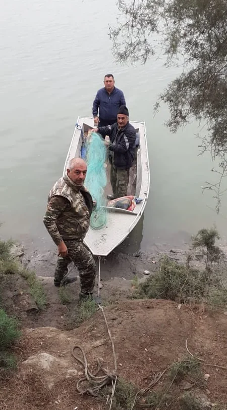 Qanunsuz ov edən şəxslər cəzalandırılıb