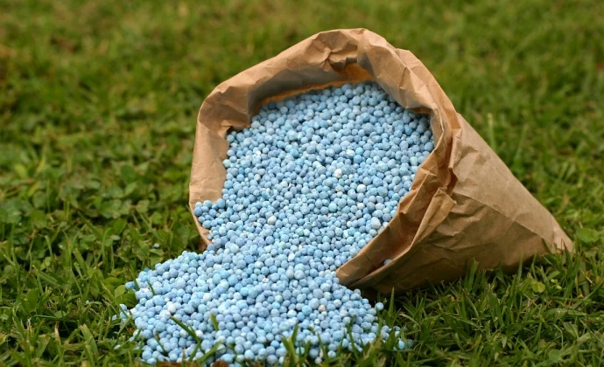 Азербайджан в этом году стал основным поставщиком органических удобрений в Грузию