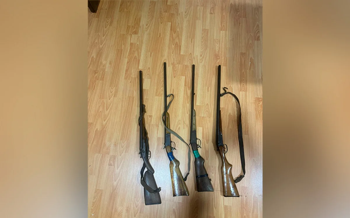 Qobustanda vətəndaşlar qanunsuz saxladıqları odlu silahları polisə könüllü təhvil veriblər