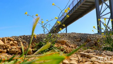 Bakıdan Rusiya sərhədinə gedən magistral yolda piyada keçidi inşa edilib