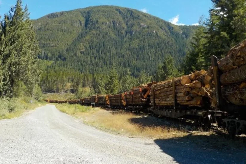 Поезд сошел с рельсов в Канаде, есть погибшие