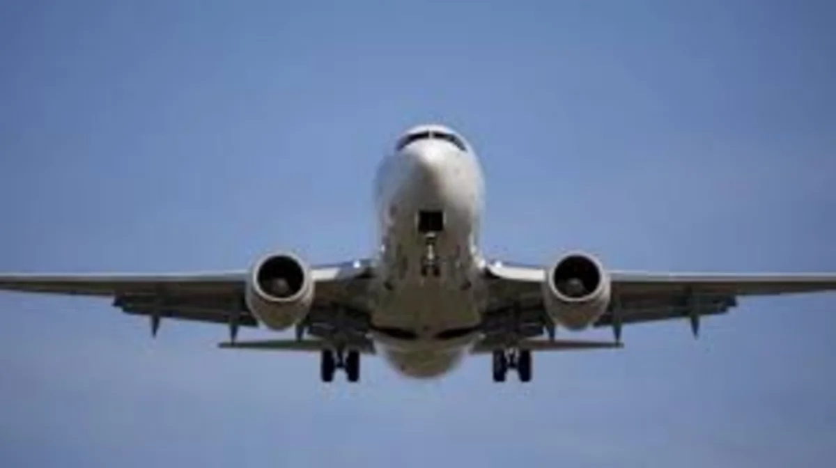 ​Director General of Russia’s second largest airline says no flights to be suspended