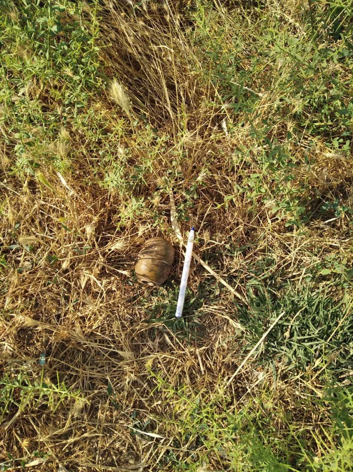 Füzuli rayonunda əl qumbarası aşkarlandı