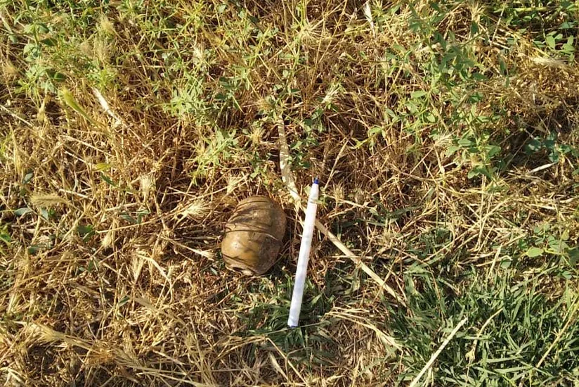 Füzuli rayonunda əl qumbarası aşkarlandı