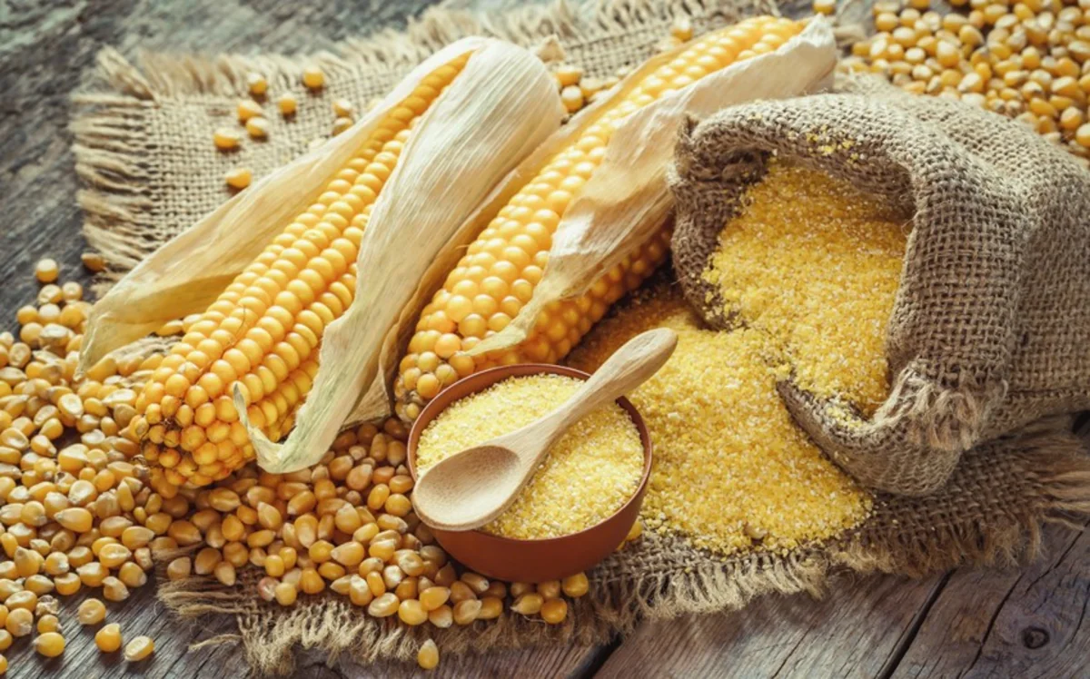 Azerbaijan increases corn import by 48%