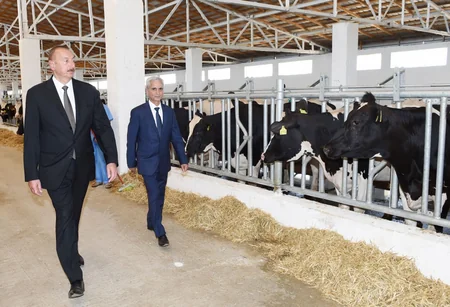 Prezident İlham Əliyev Cəlilabadda “Günəşli-Aqro” MMC-nin aqroparkında yaradılan şəraitlə tanış olub
