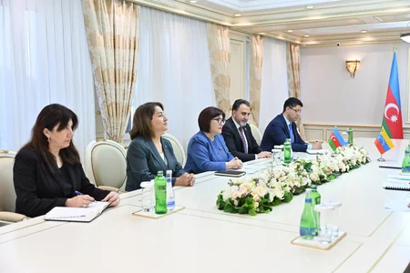 Sahibə Qafarova Venesuela Milli Assambleyasının nümayəndə heyəti ilə görüşüb