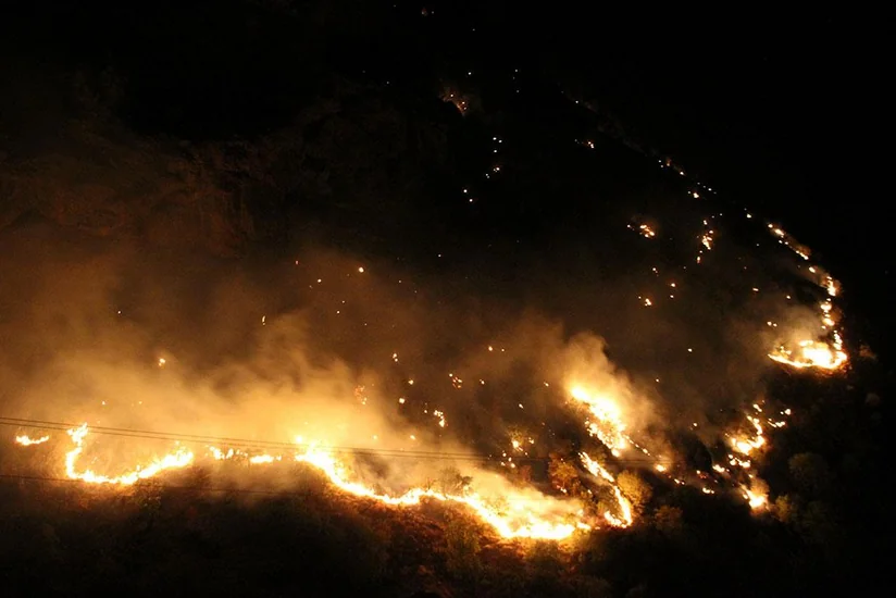Türkiyədə daha bir meşə yanğını olub