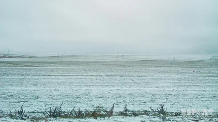 Bakı - Şamaxı yolu buz bağlayıb, nəqliyyatın hərəkəti çətinləşib - FOTO