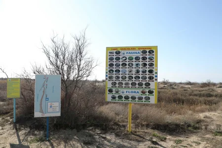 Директор Абшеронского нацпарка: Несмотря на колебания уровня воды, рельеф косы Шах-дили не меняется