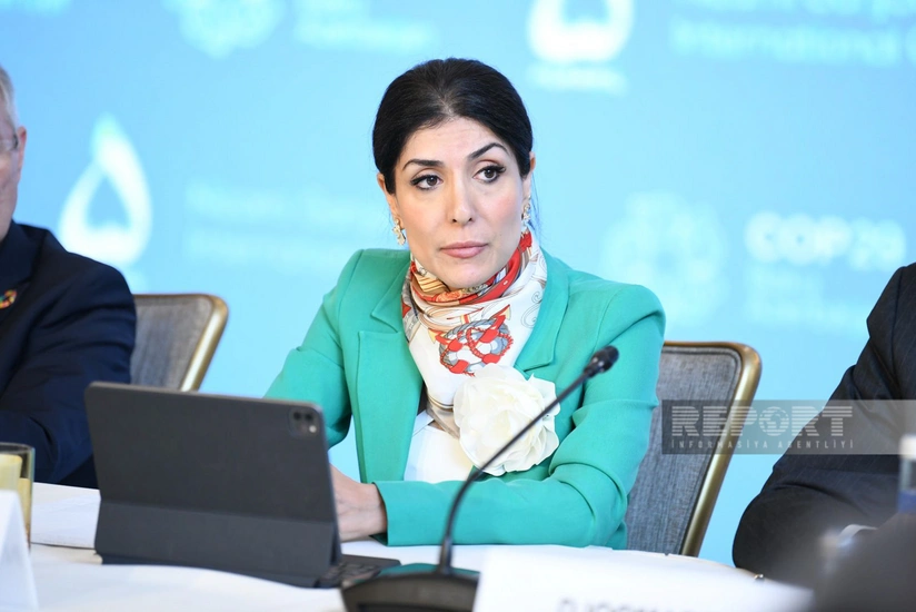 Nigar Arpadarai: İqlim məsələlərinin həllinə biznesin cəlb edilməsi COP29 üçün prioritetdir