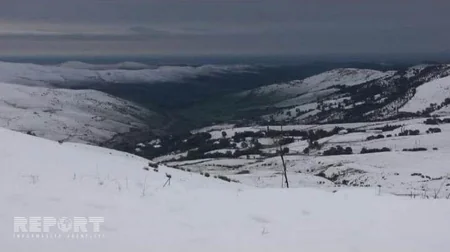 Cəlilabadda güclü qar fərdi təsərrüfatlara, elektrik və rabitə dirəklərinə ziyan vurub - FOTO