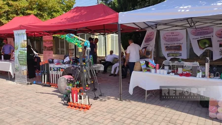 Şəkidə Aqrar İnnovasiya Festivalı və toxum yarmarkası keçirilib