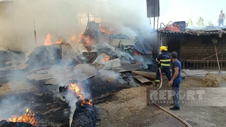Salyanda 40 tonluq ot tayası yanıb