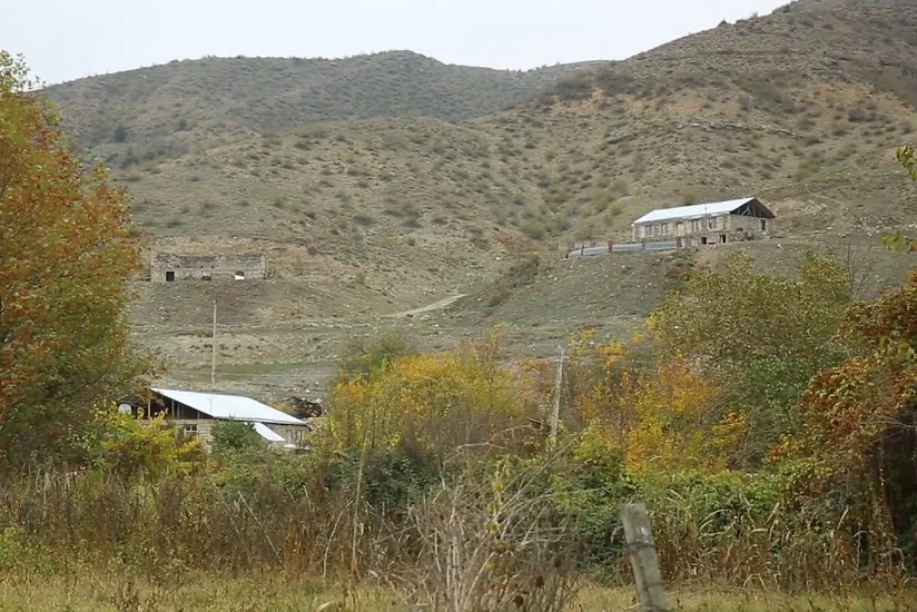 ETSN: Ermənilər Qubadlıda yaşı 150-300 il olan Şərq çinarlarını məhv ediblər