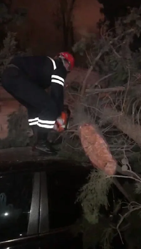 Bakıda külək ağacı avtomobilin üzərinə aşırıb