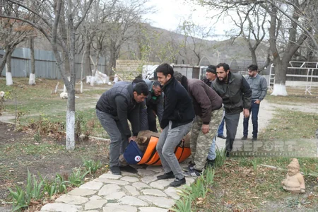 Altıağacda qonur ayılar peyvəndlənib