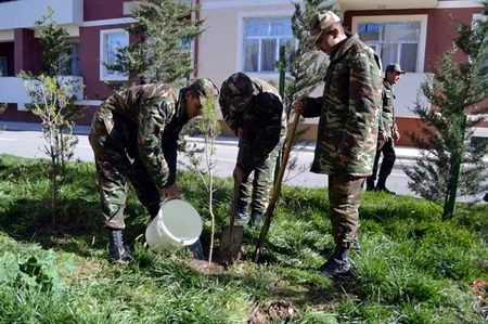 ​Silahlı Qüvvələrdə ağacəkmə aksiyasına start verilib