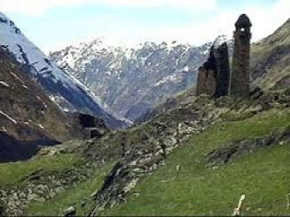 ​İŞİD-in Gürcüstandakı təmsilçisi tutulub