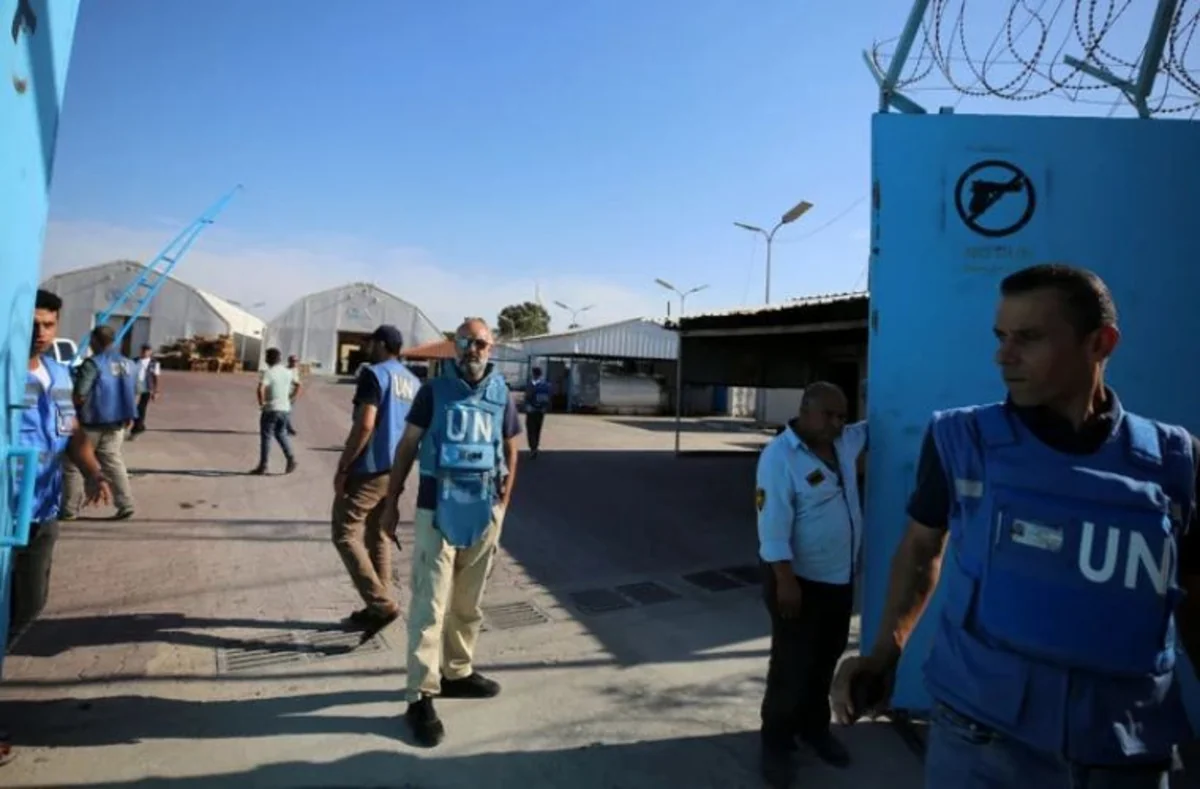 Over 240 UN staff killed in Gaza