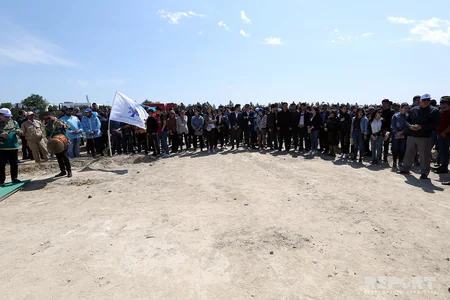 YAP Bakıda ağacəkmə aksiyası keçirib
