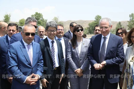 Diplomats, international experts release trouts into Hakari River