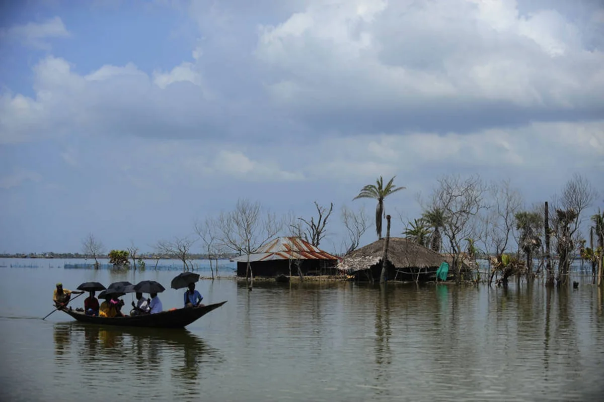 WHO: After 15 years, climate change will cause an additional 250 000 deaths a year