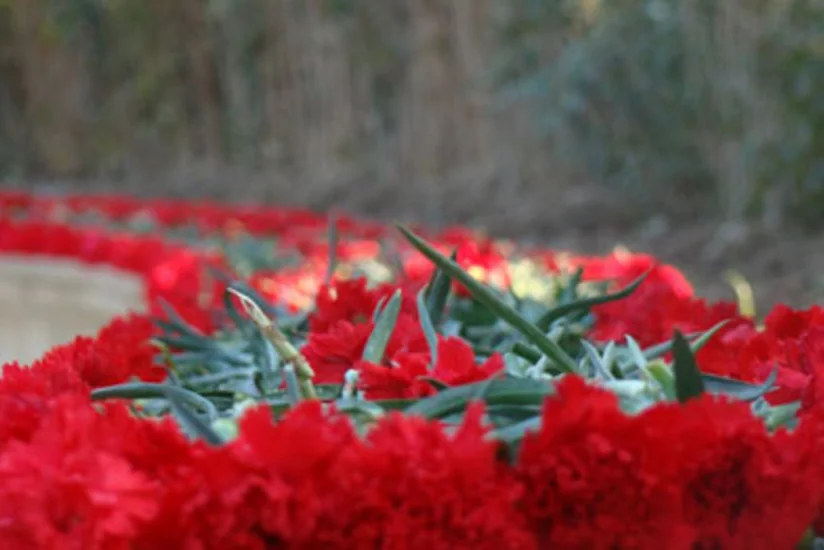 Brüsseldə ​20 Yanvar şəhidləri yad edilib